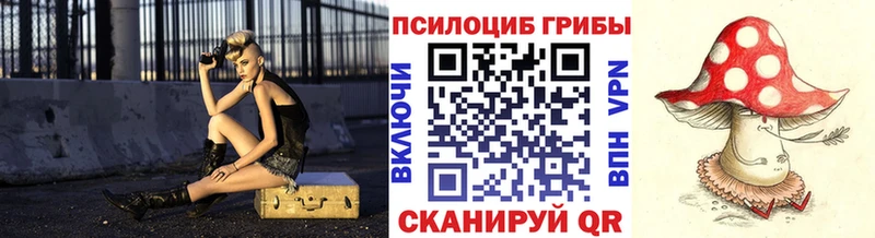 Купить закладки  Юрга  Псилоцибиновые грибы Cubensis 